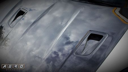 AERO NACA-Ducts Carbon für Porsche 991.2 GT3RS / GT2RS